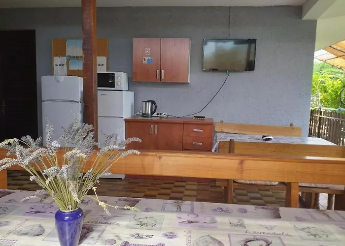 Vidic Apartment