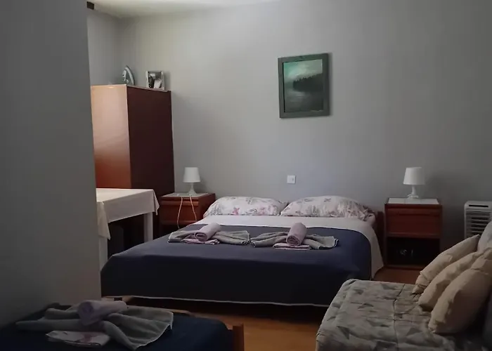 Apartment Vidic